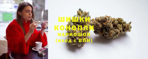 стаф Новозыбков
