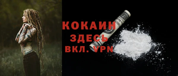 стаф Новозыбков