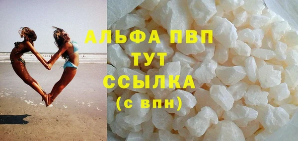 стаф Новозыбков