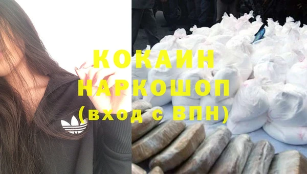СК Бикин